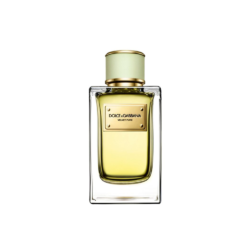 Dolce Gabbana Velvet Mughetto Edp