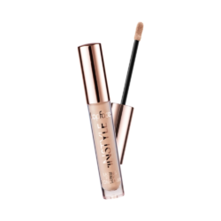 Top Face Concealer Lasting Finish 005