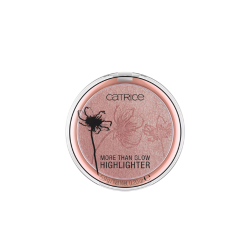 Catrice More Than Glow Highliter 040